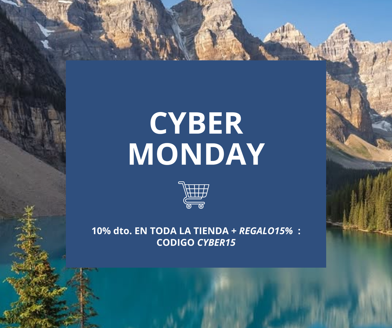 COLECCIÓN CYBER MONDAY