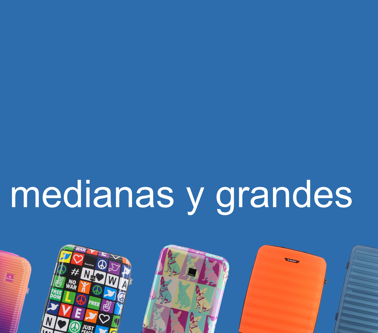 Medianas y Grandes