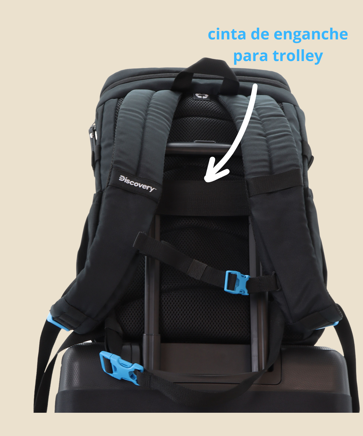 Icon Mochila L - Portátil 15''| 46x30x17 cm| 0,7 Kg |23L